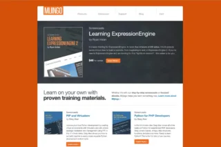 Mijingo Homepage 2010